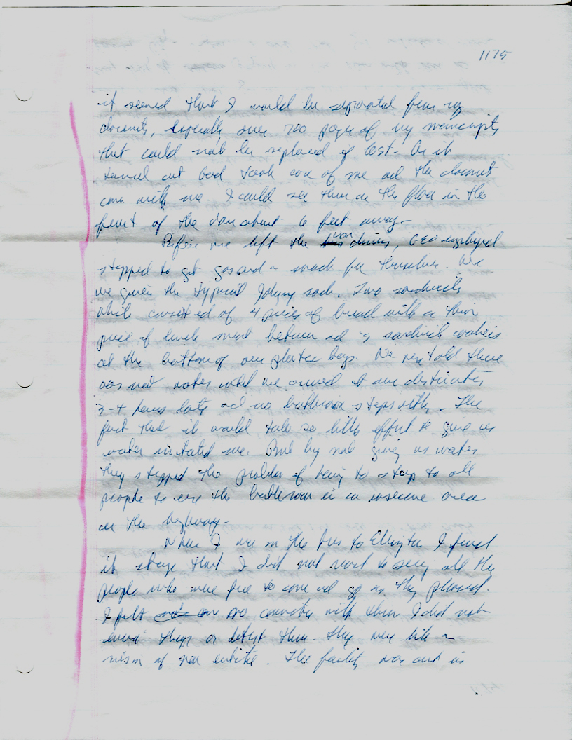 Dr John WorldPeace 2008 Prison Journal